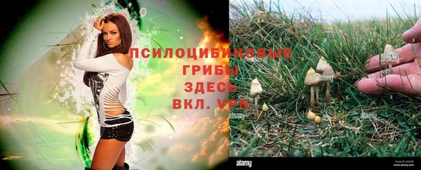 мдма Струнино